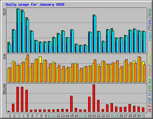 Daily usage for January 2026