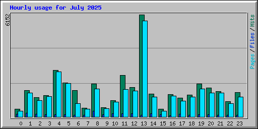 Hourly usage for July 2025
