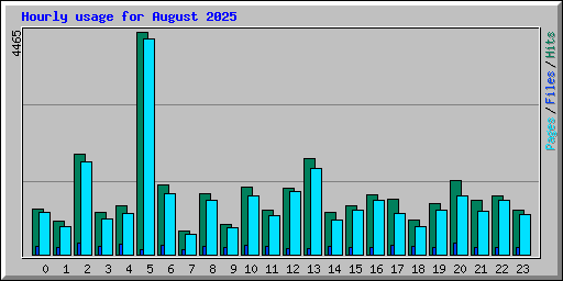 Hourly usage for August 2025