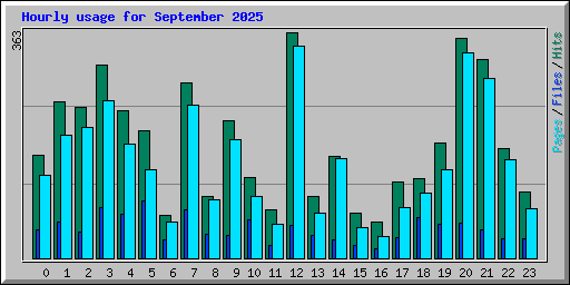 Hourly usage for September 2025