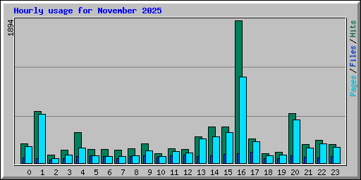Hourly usage for November 2025